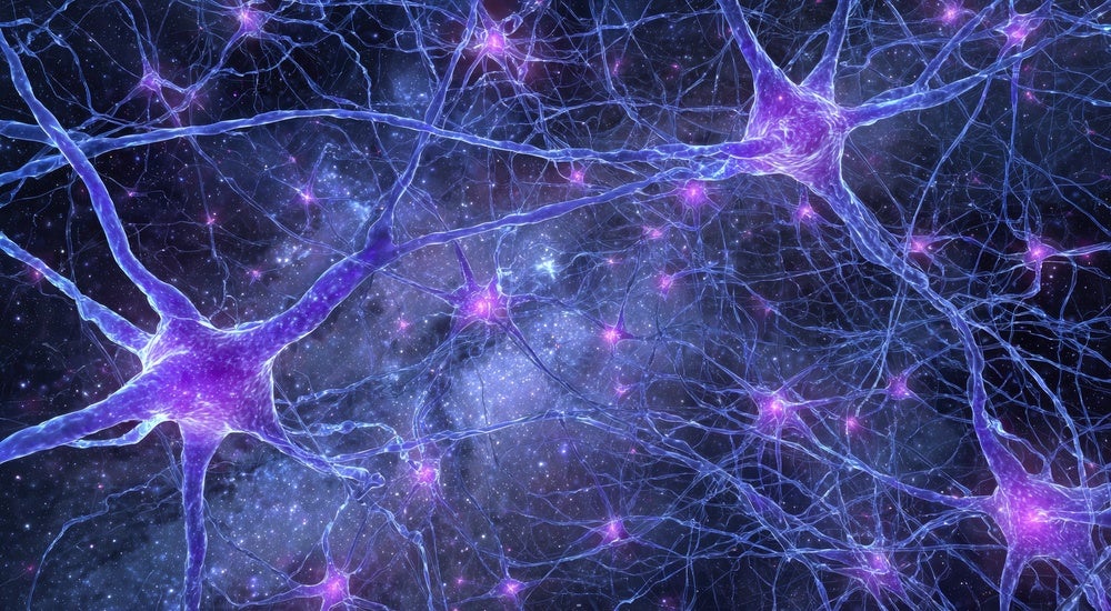 Axogen deepens nerve repair portfolio through $200m BioCircuit takeover