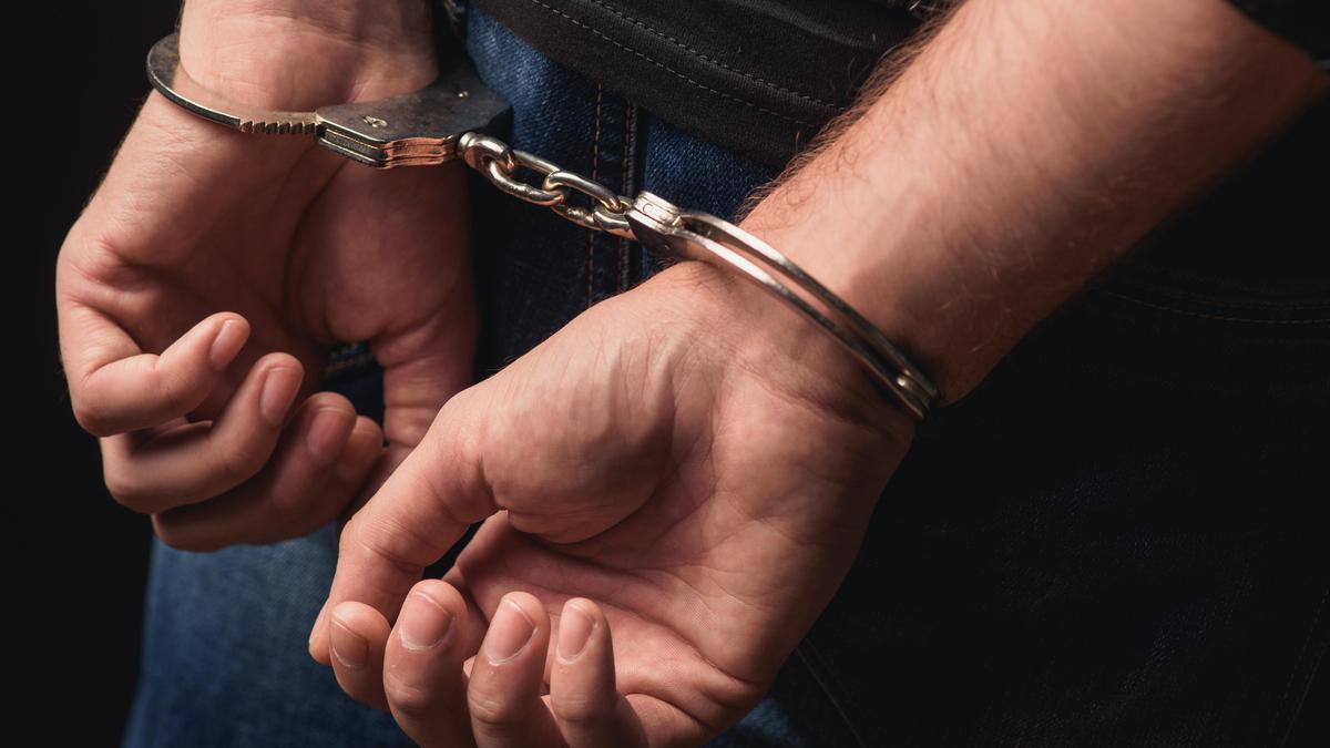 SFI alleges police vendetta after leaders handcuffed in court