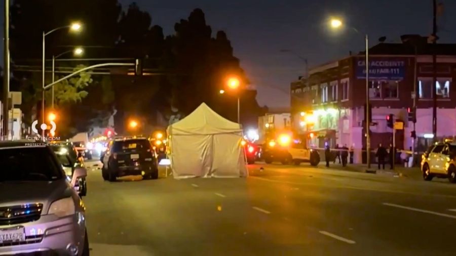 Man killed in possible hit-and-run crash in South Los Angeles