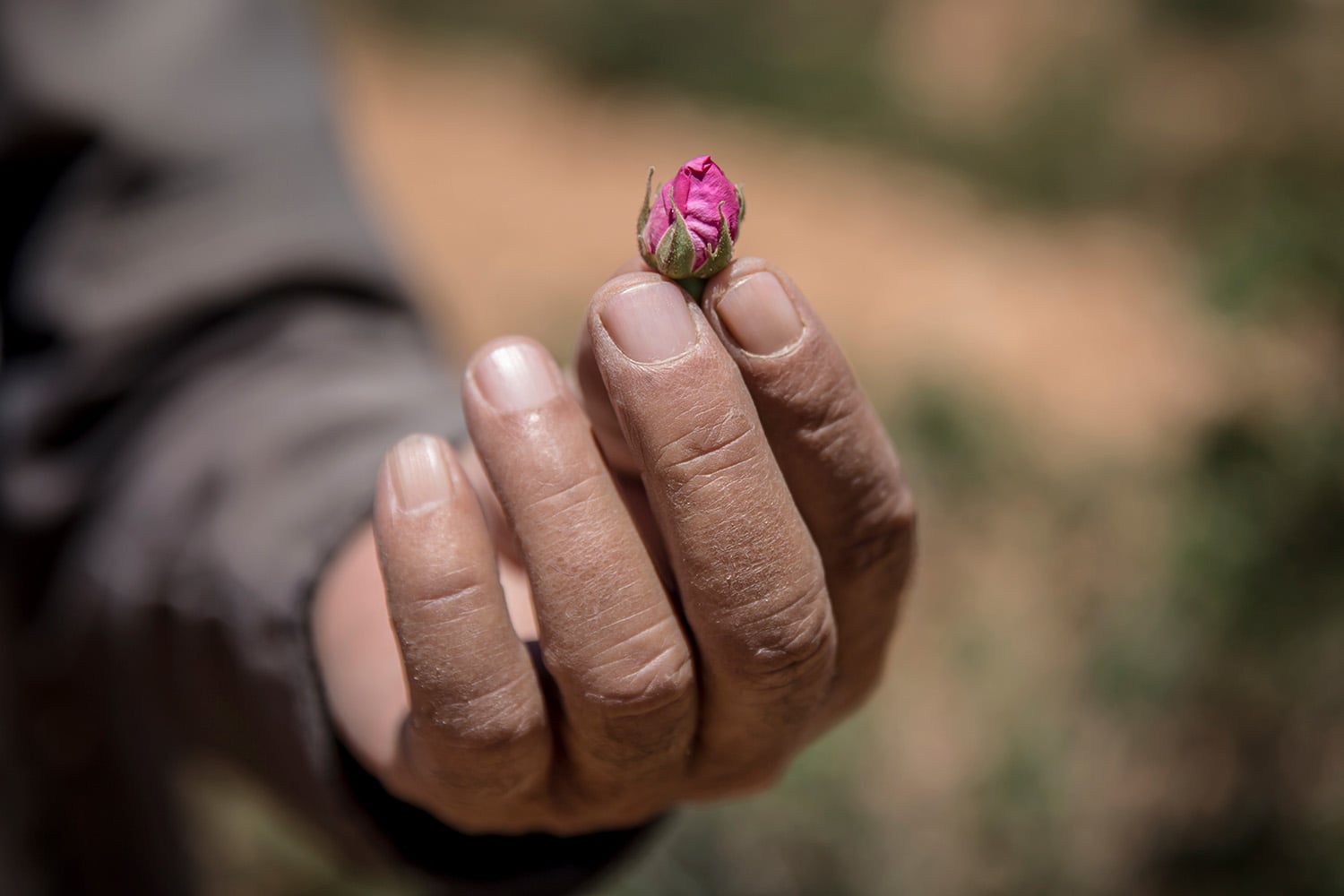 A War Reporter’s Antidote to Nihilism