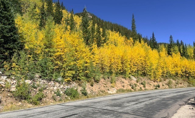 Sheriff's office encourages safe leaf PEEPing at Guanella Pass