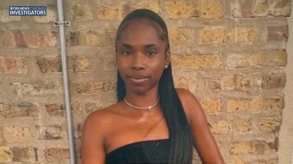 Family of woman killed when car plunged into Little Calumet River calls for improved safety measures