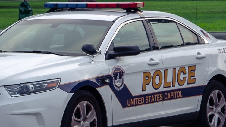 Teens crash stolen car into US Park Police cruiser