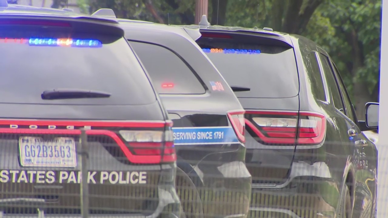 5 minors apprehended after police chase in stolen vehicle