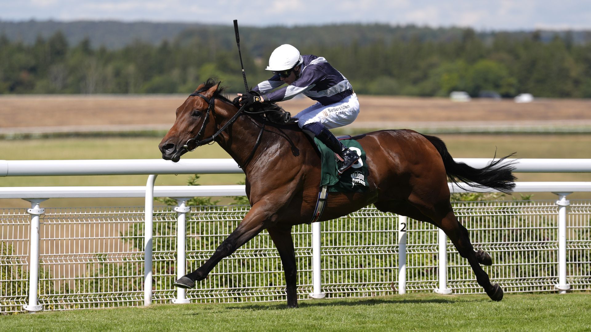 Enceladus takes on Christmas Day and Pienne Bonnard in 250th St Leger