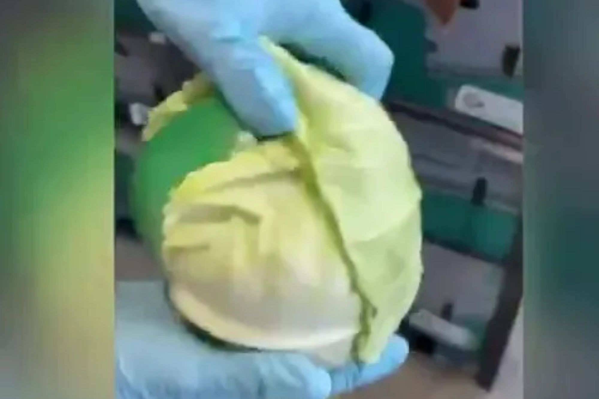 Shocking moment cops uncover almost one-tonne of meth disguised as hundreds of cabbages