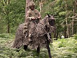 Call in the cavalry! British army brings back war horses as it tests camouflaged steeds in summer training camp
