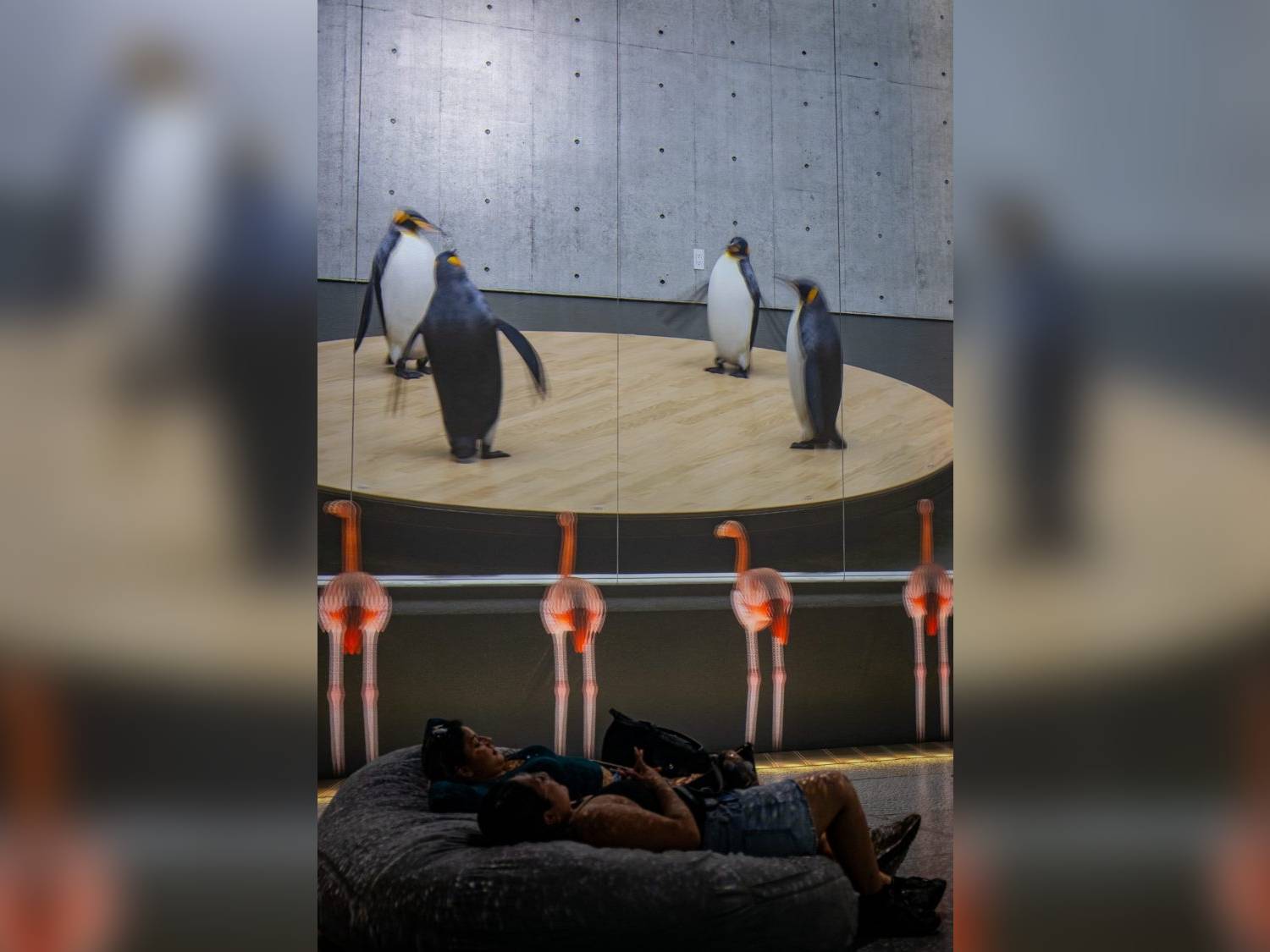 WATCH: Testing the limits of ARTECHOUSE DC’s AI penguin