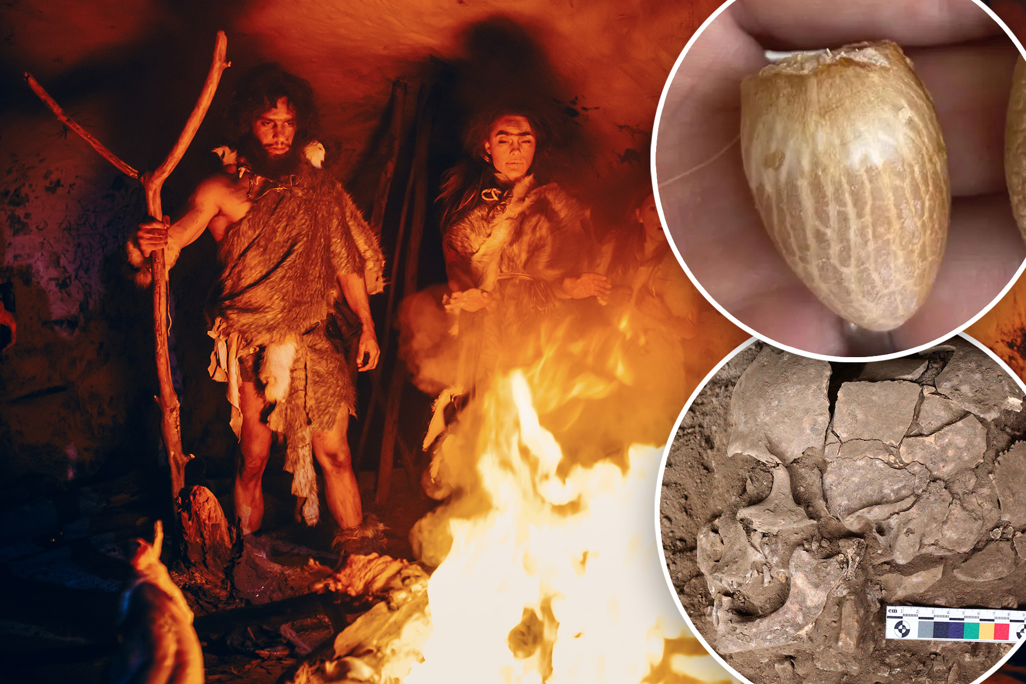 25,000-year-old caveman remains reveal mind-altering drug use much longer than previously thought