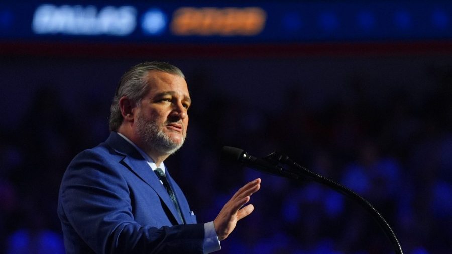 Cruz on $5K dividend: 'I don't think we should be paying people that are not working'