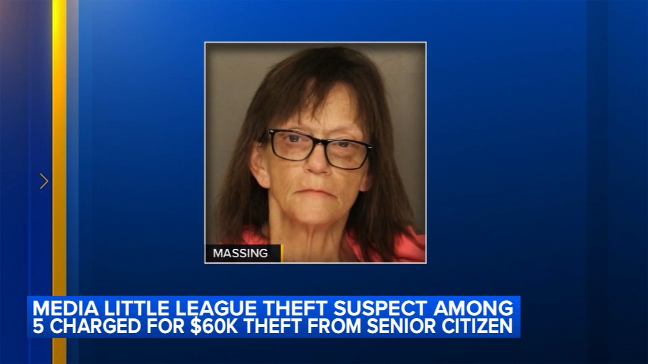 Woman accused of stealing from Delaware County Little League team facing new charges