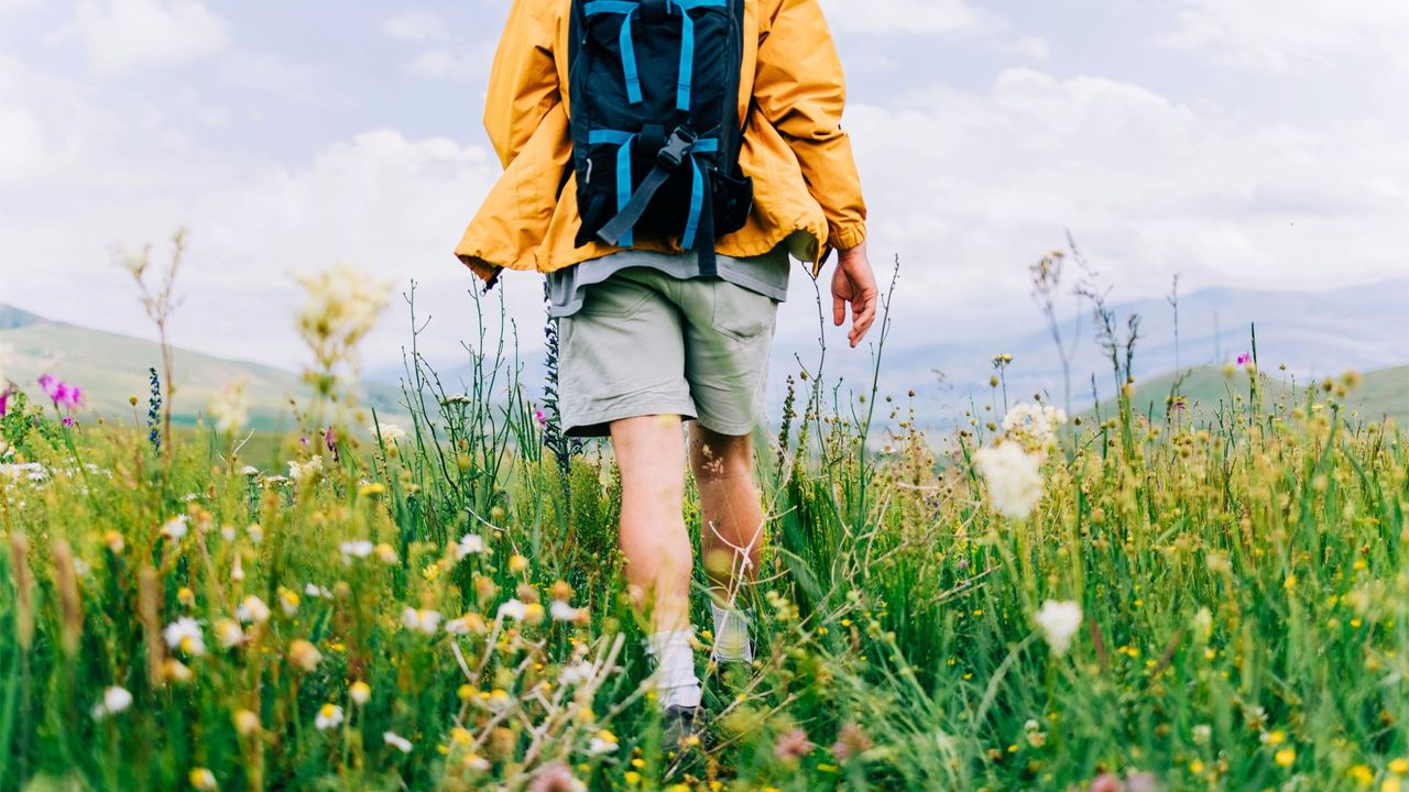 Financial Independence Is the Off-Ramp — Retirement Is Taking It