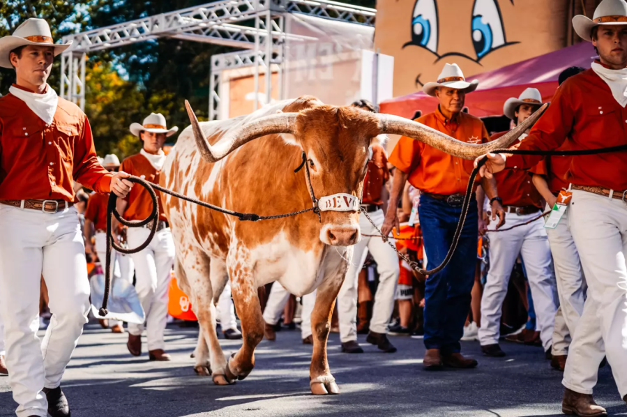 Watch Live: Bevo Boulevard ahead of Ohio State-Texas