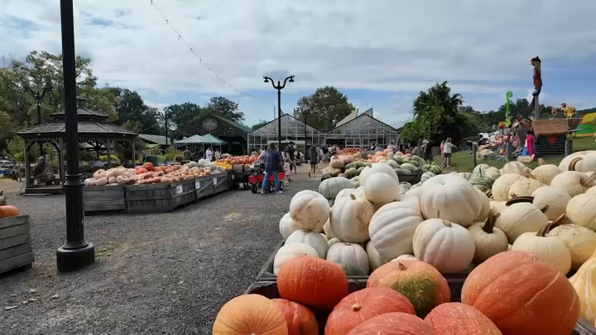 Pa. farmers face crop losses, rising diesel costs as fall celebrations begin