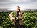 Riverford founder: Why I ditched management consultancy to farm 3 acres of organic veg in the 1980s