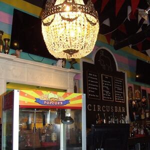 Wellington’s Circus Bar to close after almost nine years, final day announced
