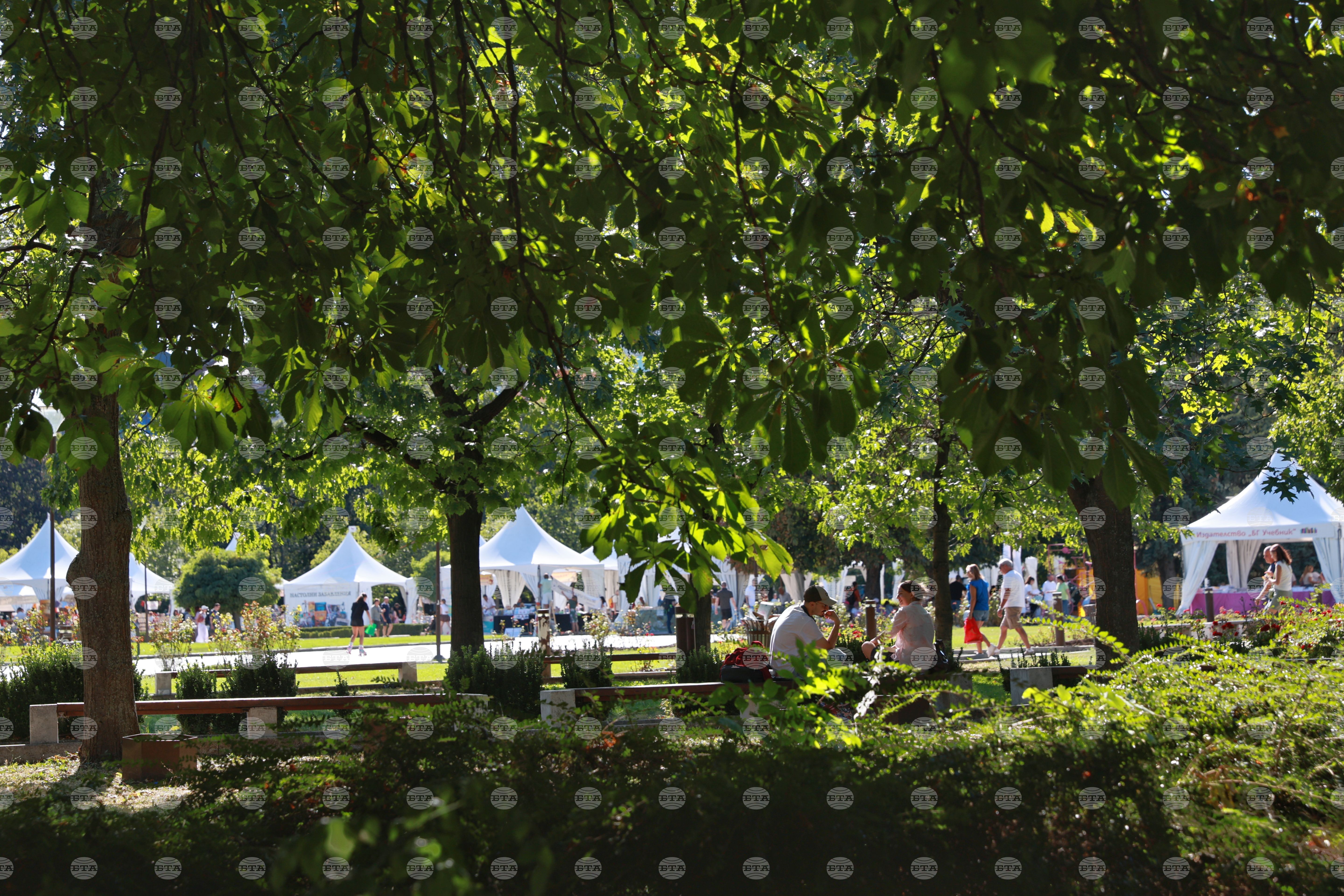 Book Alley to Close with Author Events