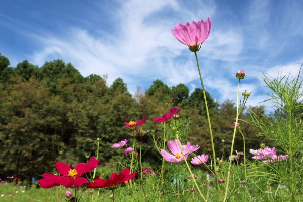 Cloudy, Early-Autumn Weather to Continue Monday