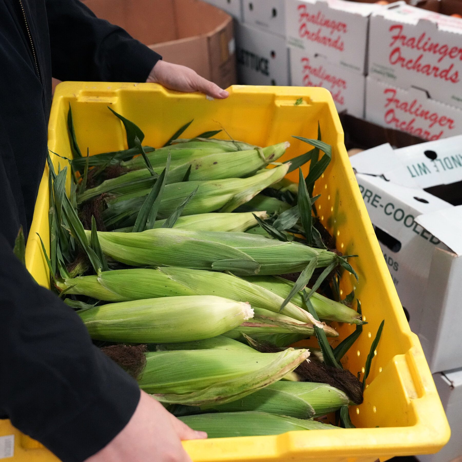 Farm to People Wants to Create a New Economy for Small Farms to Succeed