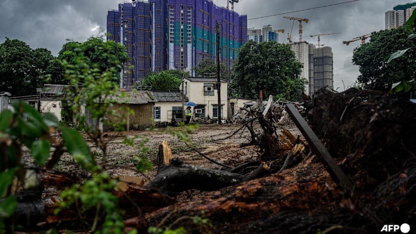 Hong Kong homes flattened for US$28 billion high-tech hub