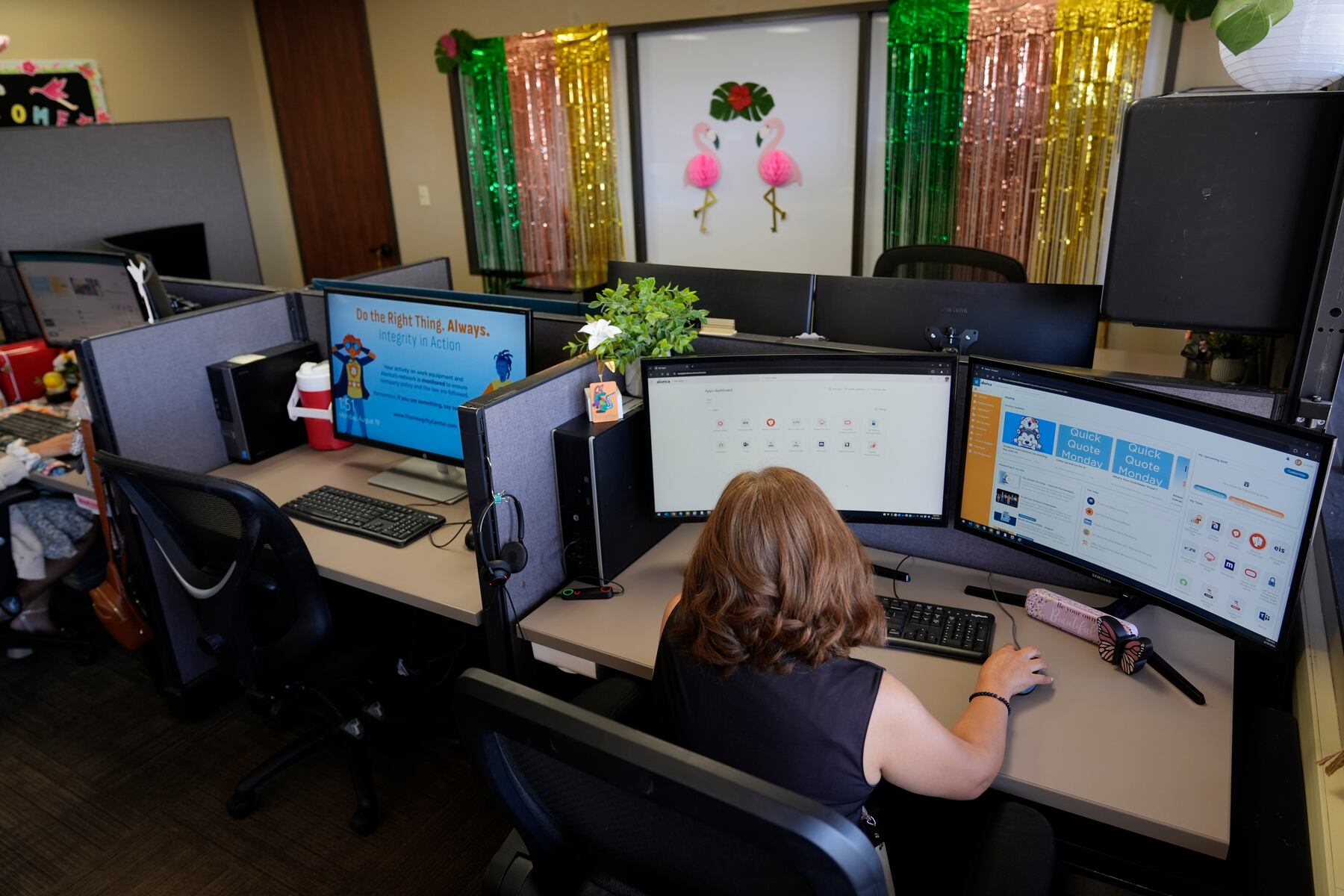 Everyone followed the same career advice. Now the results are surprising