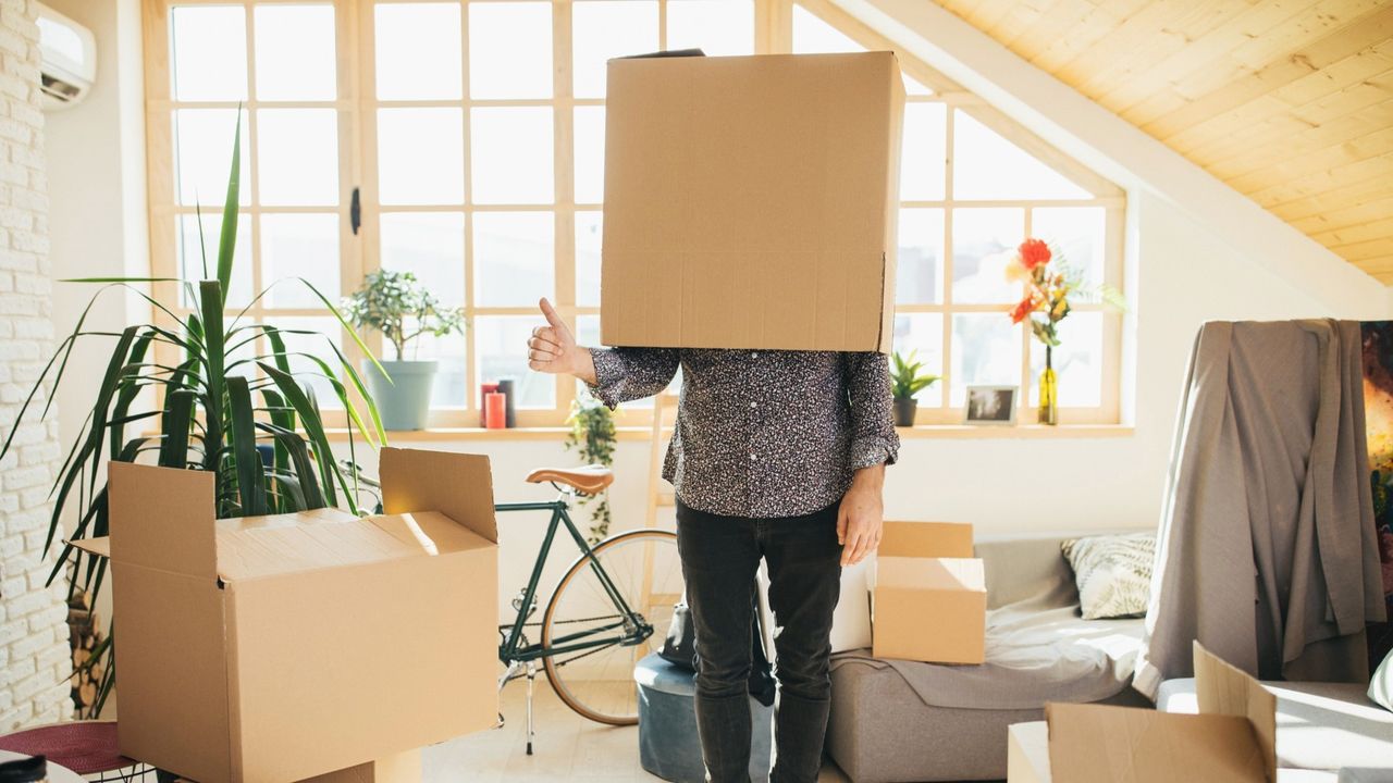 I'm a Retirement Editor, But My Parents' Estate Tripped Me Up with a Snake, a Gun and a Mystery Box