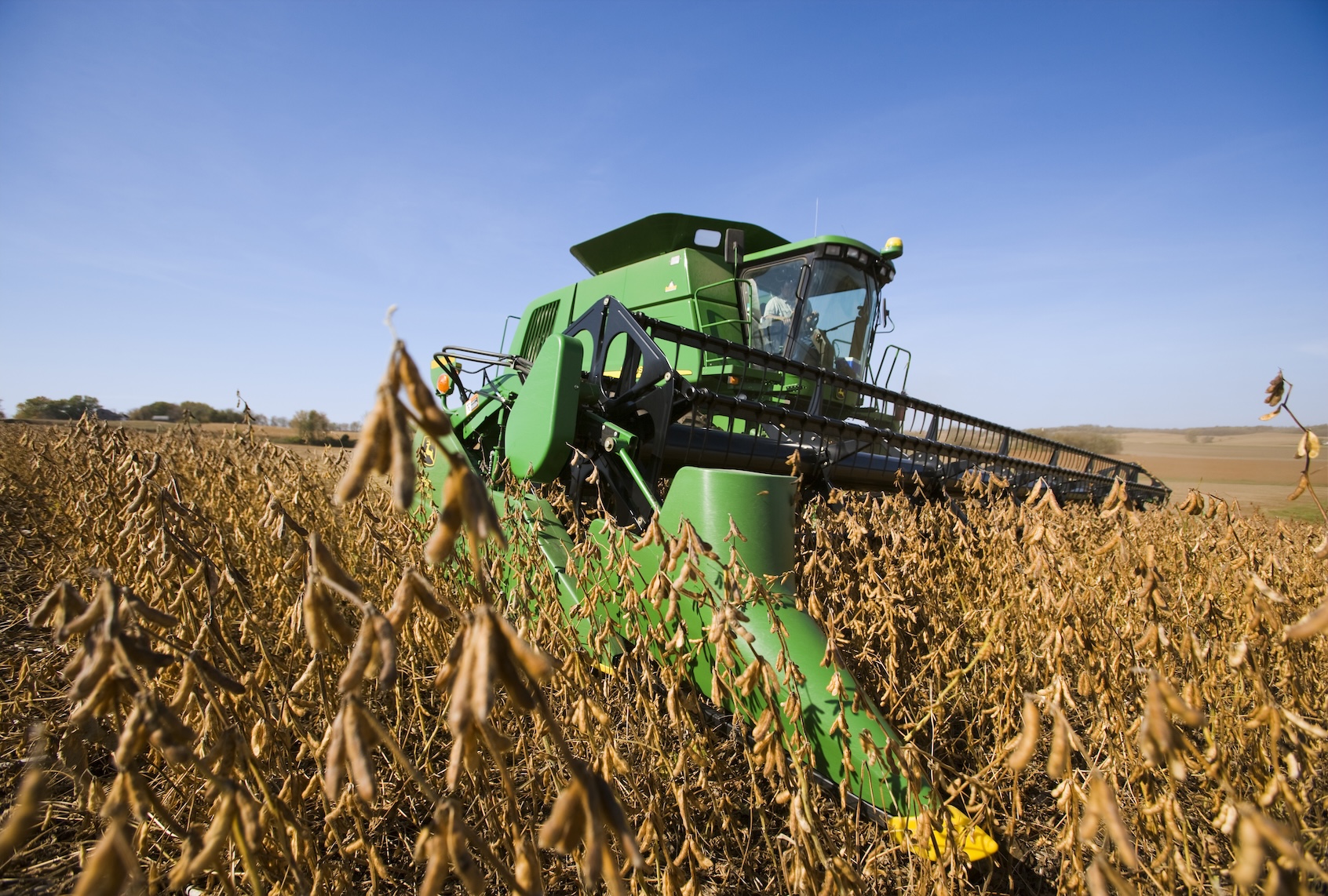 How soybeans took over the American diet – without anyone noticing