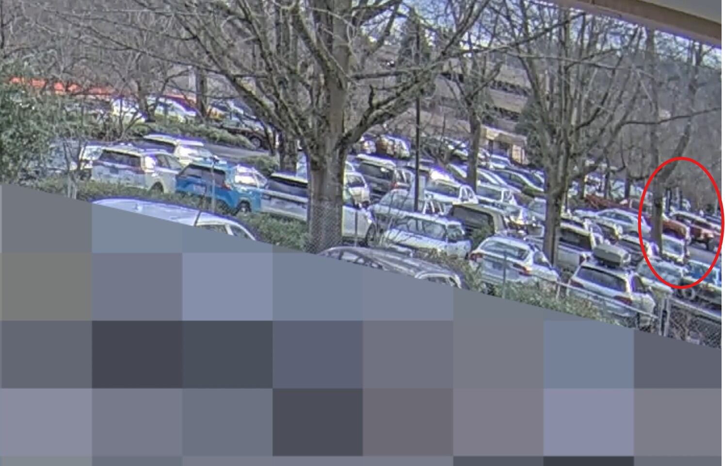 Court filings reveal PPB caught Border Patrol agent picking up bullet at shooting scene