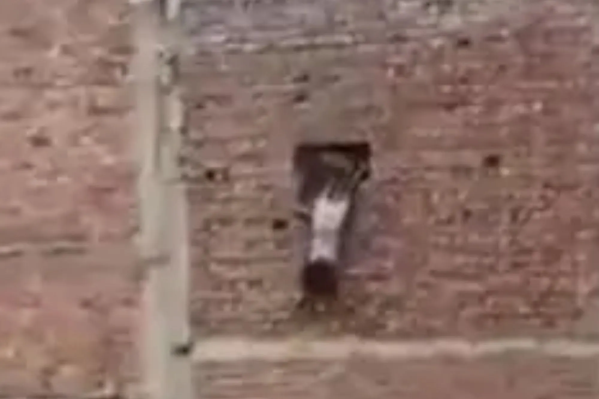 Moment people jump from third-floor window as factory goes up in flames & six including 3 kids rushed to hospital