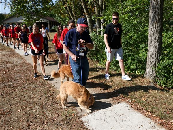 Canine cancer charity to hold annual dog walk