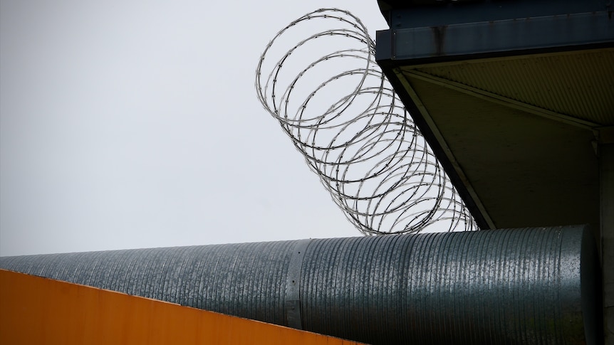 Self-harm, serious assaults recorded across immigration detention centres