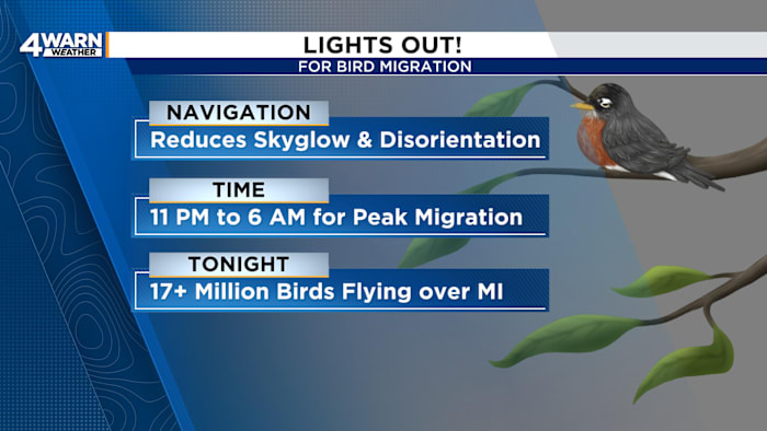 Over 17 million birds will fly over Michigan tonight; how turning your lights out can help migration