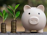 I'm 34 and my pension could be worth millions by the time I retire - should I start saving less? STEVE WEBB replies