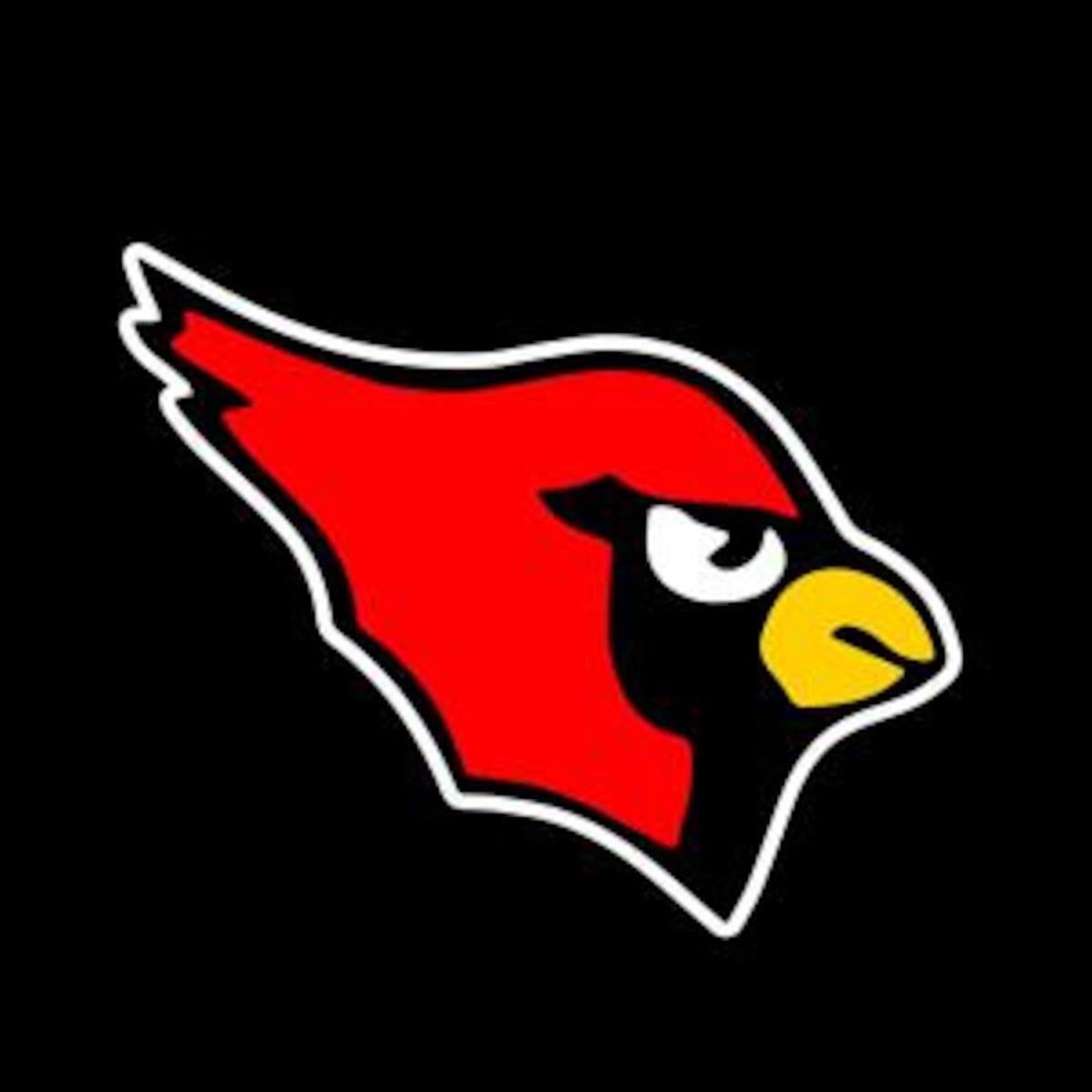 Mentor RB is healthy, and the Cardinals are benefitting