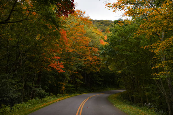 The 10 best fall road trips in the U.S. and Canada, ranked