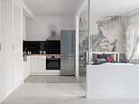 Studio flats fall out of fashion: Are these once popular starter homes now a financial millstone?