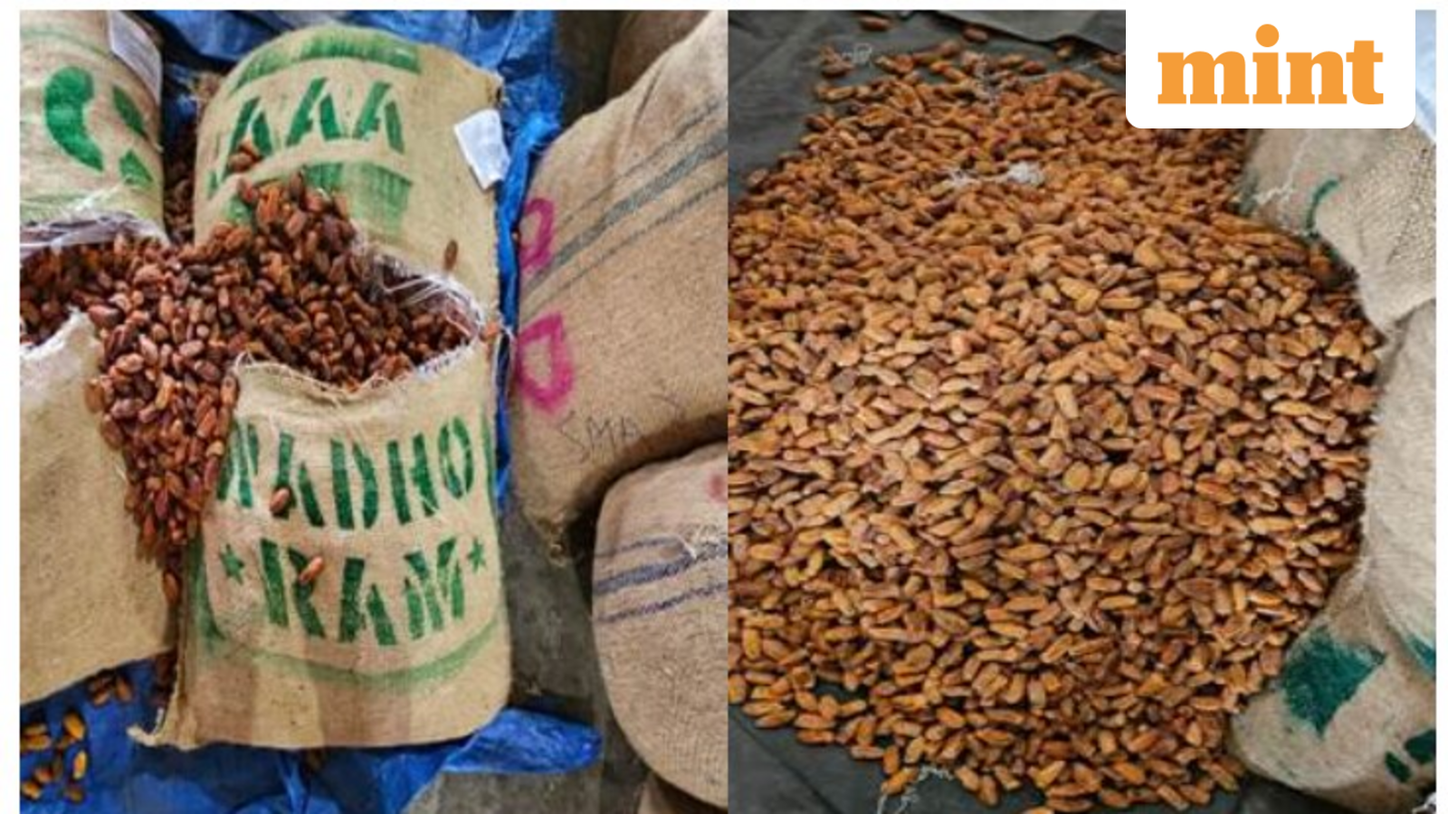 Operation Deep Manifest: DRI seizes 362 metric tonnes Pakistan-origin dry dates in Nashik