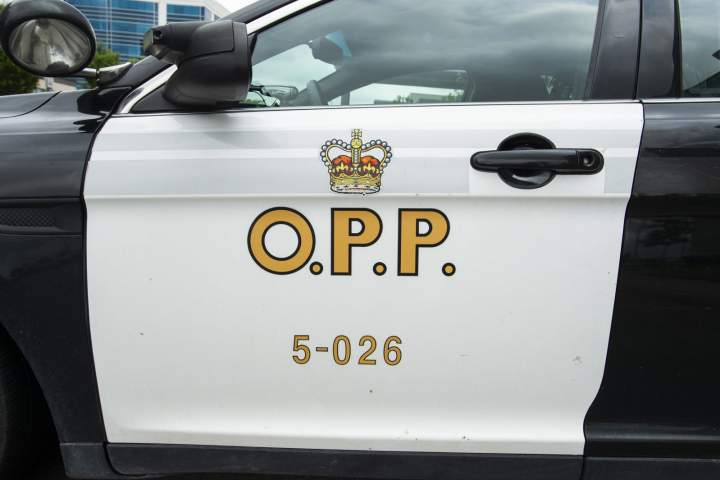 California resident dead after vessel capsizes on Georgian Bay: OPP