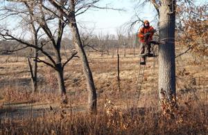 Wisconsin deer license sales stay flat while conservation costs climb