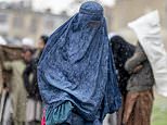 Taliban unleash new crackdown on women with 20 dragged off the street by female guards and beaten in jail for breaking morality rules
