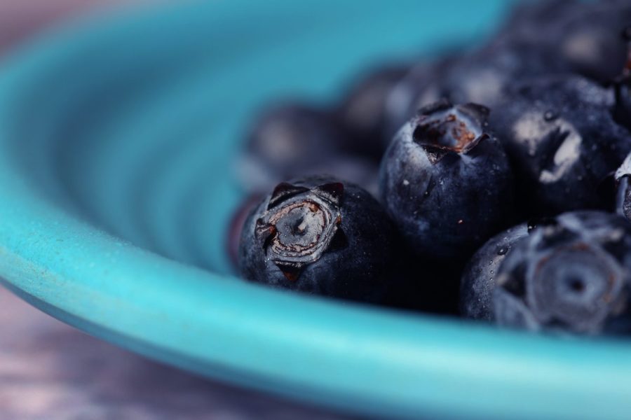 Compound in blueberries may help muscles burn fat, study finds