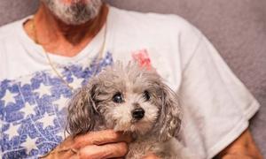 Cost Management for a Healthy, Happy Furry Friend: 5 Ways to Save Money While Giving Your Pet Excellent Care