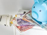 Energy bills could rise by £318 a year in January as price cap is predicted to balloon thanks to surging wholesale costs