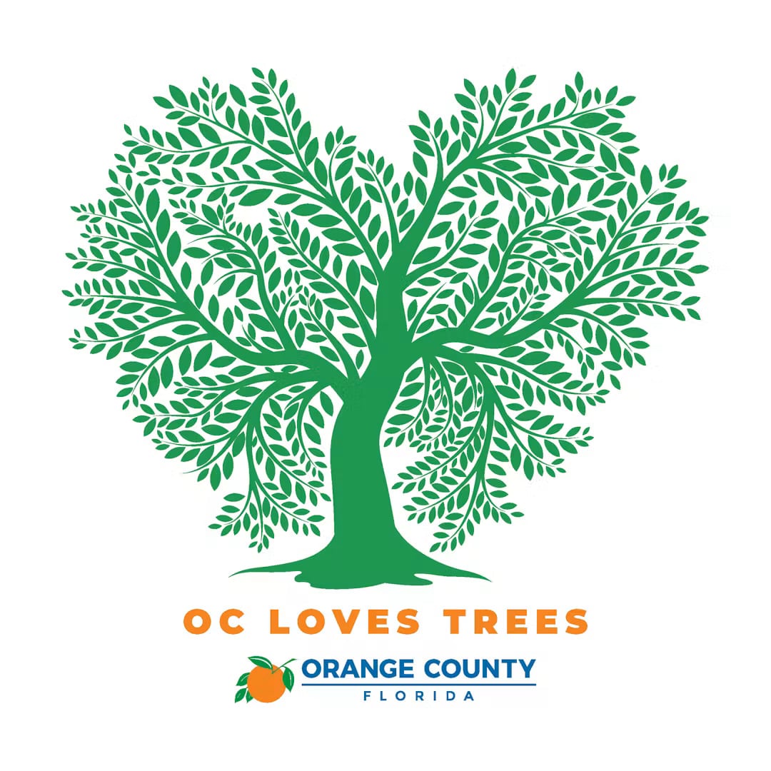 Orange County launches first urban forest master plan to protect tree canopy