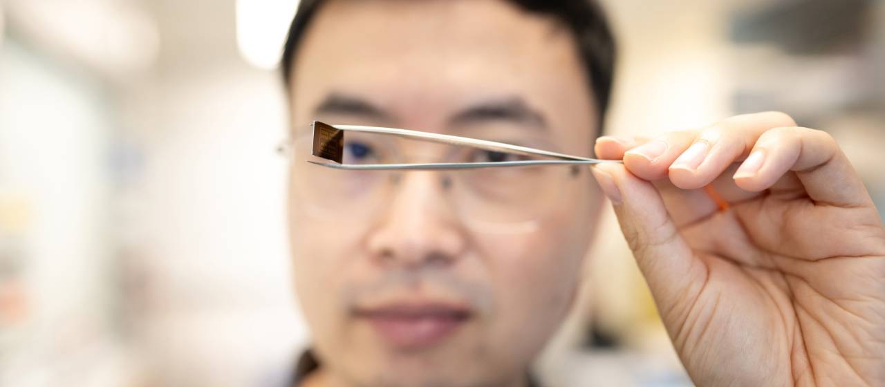 Princeton engineers create erasable semiconductor that is programmed with light