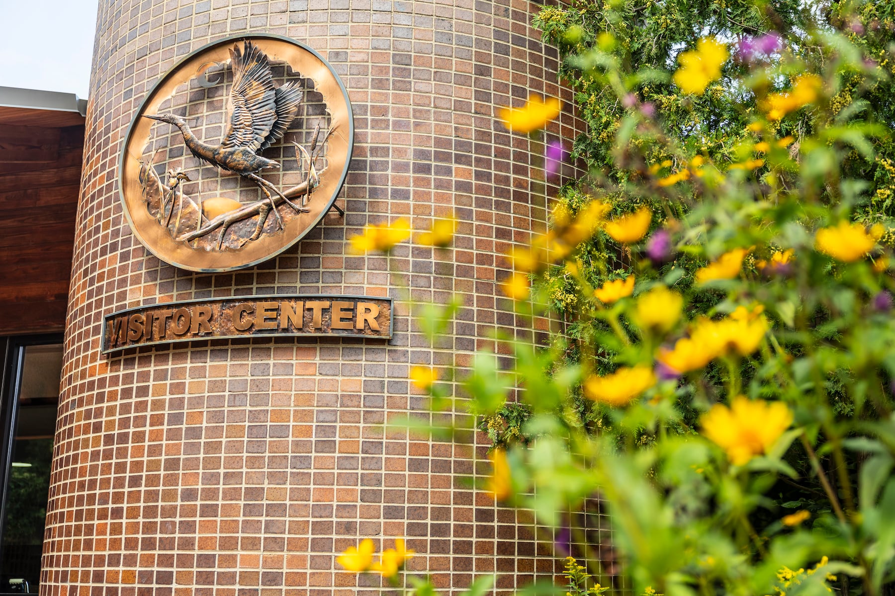 National Geographic adventurer to speak at Chippewa Nature Center