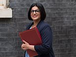 Home Office pays 9,000 Brazilians up to £3k each to return home after overstaying their visas