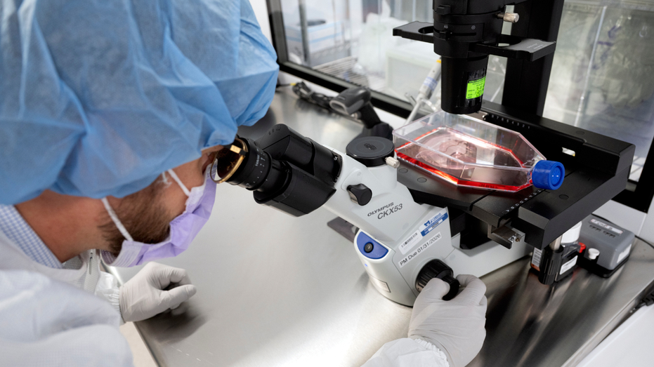 How AI could transform cancer treatment and medicine