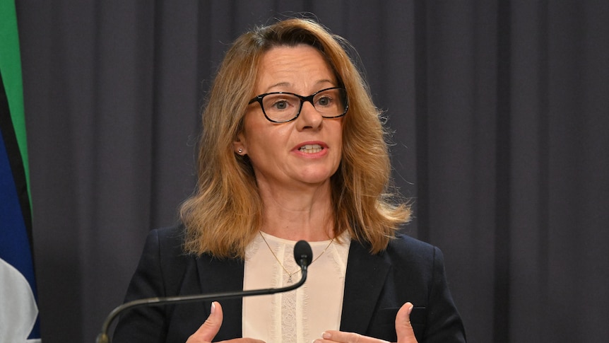 Australia needs AI 'early warning system', cyber security chief says