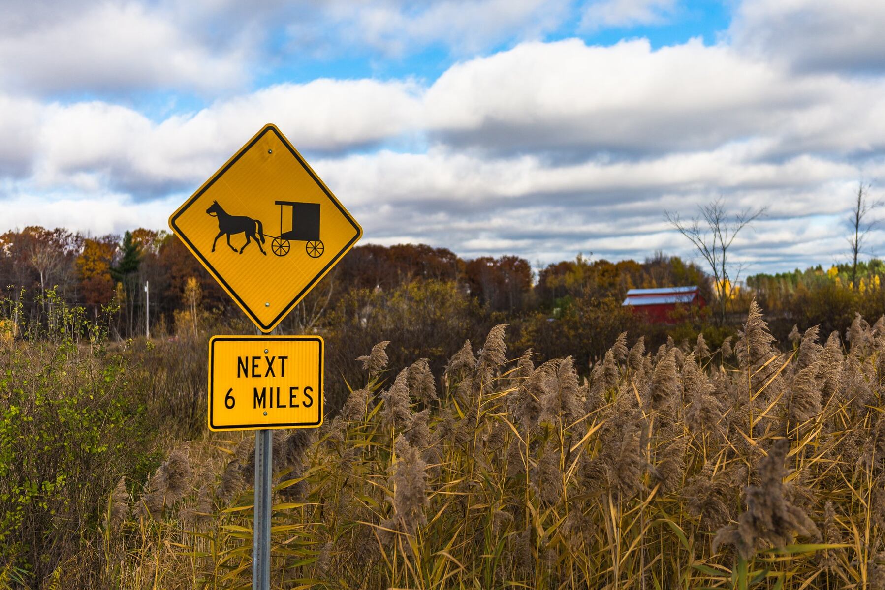 Two killed, others hurt when vehicle strikes Amish buggy in North Country
